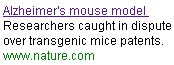 Learn about dispute on Alzheimer's trangenic mice animal model expressing APP