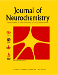 Review J Neurochem '2001 paper